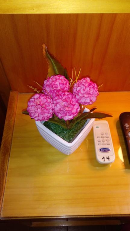 Hotel Ideal Монтекарло Экстерьер фото